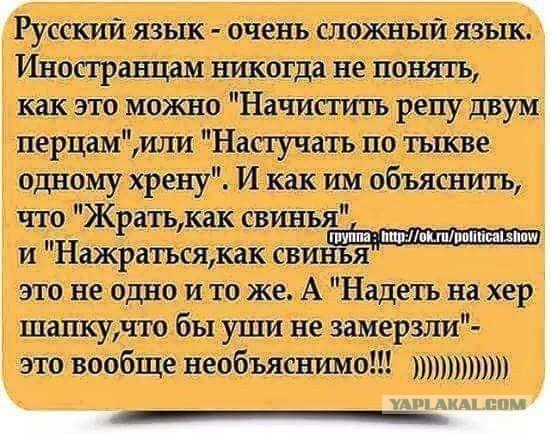 Русский язык понятный всем