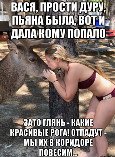 Подборка интересных и веселых картинок