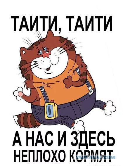 А мальчик  ЙФЯУ9 с каждым днем все больше и больше!