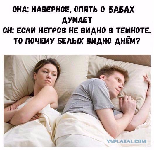 Юмор для многоклеточных. Дурацкие картинки (но это не точно).