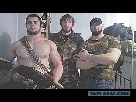 Кадыров наехал на Зюганова