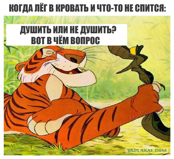 Приколы на любые темы