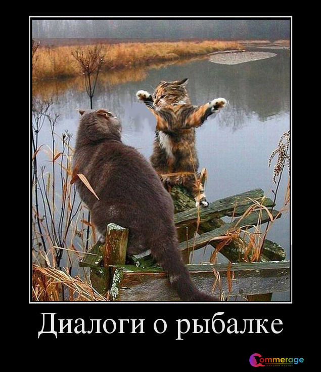 Картинки для настроения в пятницу.