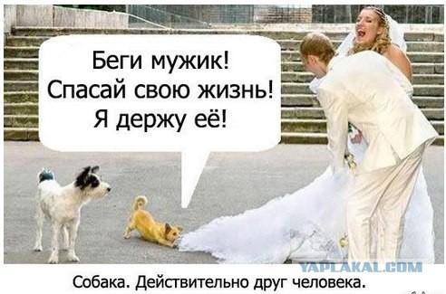Попался!