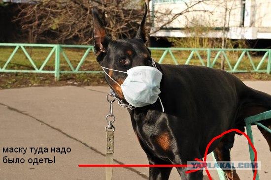 Оденьте масочку!