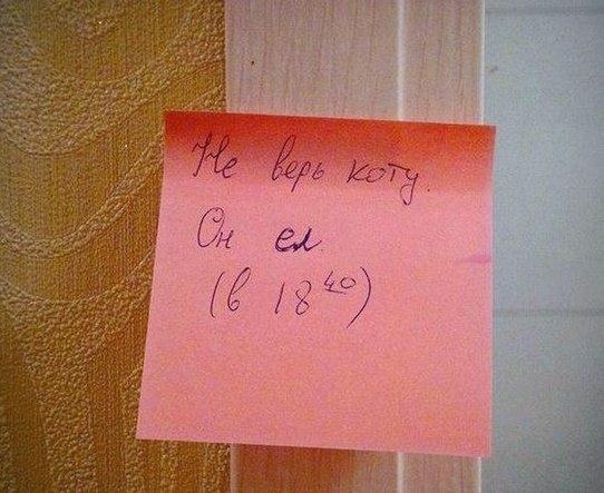 Прикольные надписи и объявления