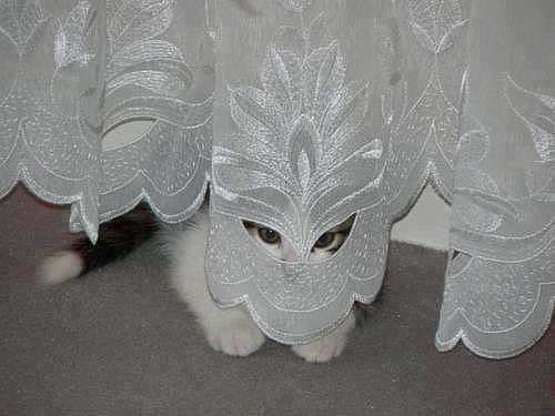 Когда оказываешься в нужном месте и находишь удивительные штуки