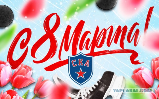 Хоккей Сезон 2018 - 2019 часть 6