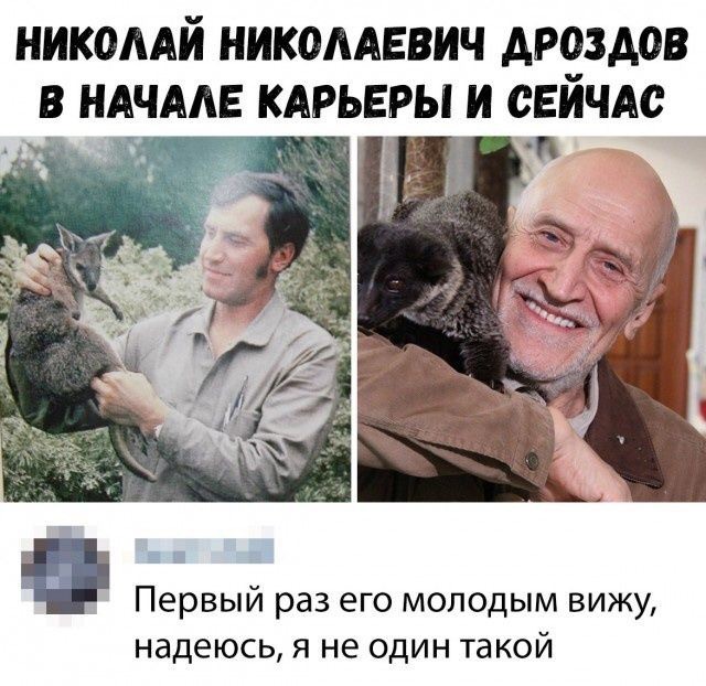 Российские знаменитости в начале своей карьеры и сегодня