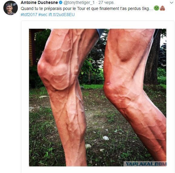 Нога велогонщика