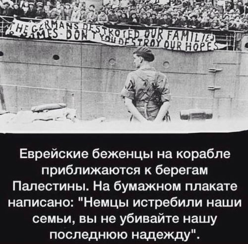 Постпредство России посоветовало НАТО купить учебники по истории вместо зимнего обмундирования