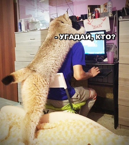 Картинок немного 25.12.19