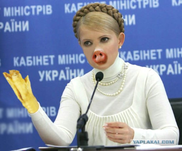 Свиногрипп и известные политики