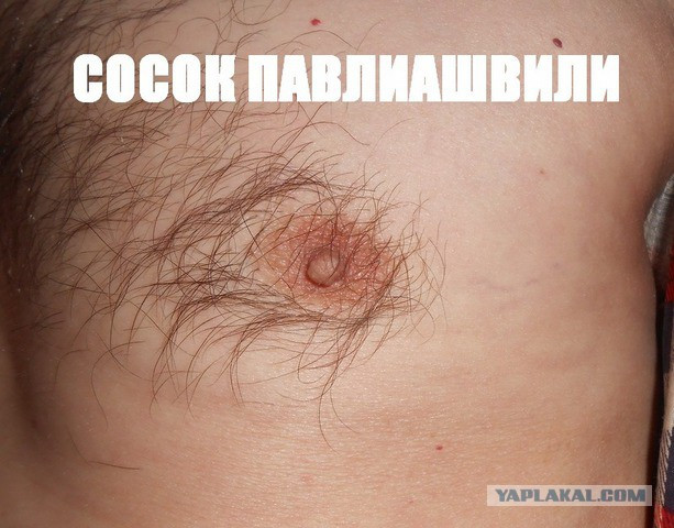 Фотки и картинки: юморные и красивые, забавные и милые 15.09.20