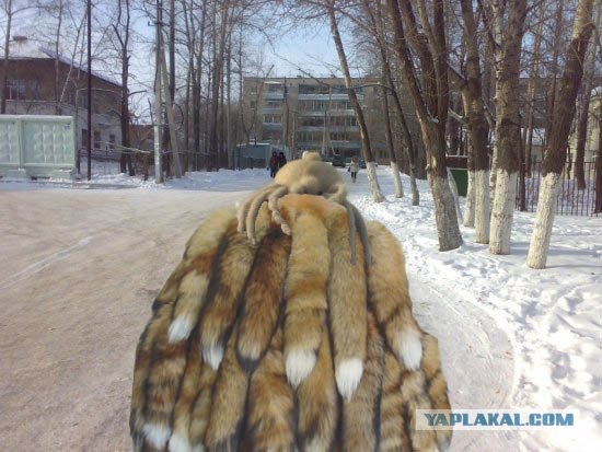 Хедкрабы в твоем городе!