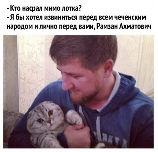 Прикольные и просто красивые картинки 18.11.2020