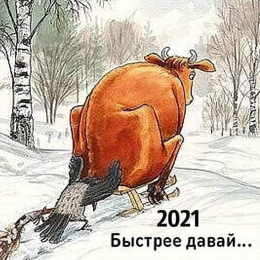 Боянистые картинки 22.12.20