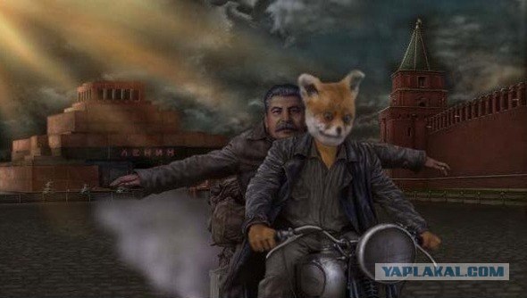 Таксидермия + наркомания