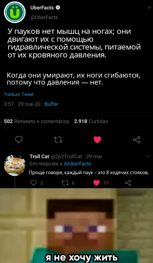 Весёлый полтишок 19.03