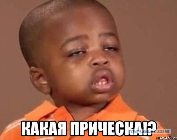 Мокрая киска, голый мужик и два возбужденных кобеля