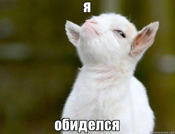 Ответ МоралькЕ