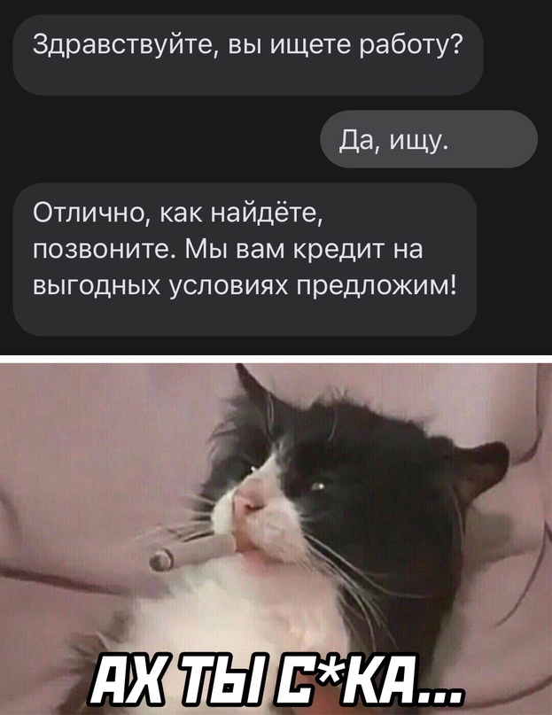 Весёлый полтишок 8.06.21