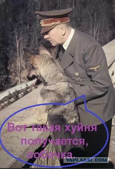 30 лет без СССР – не имеющее аналогов оболванивание трёхсот миллионов