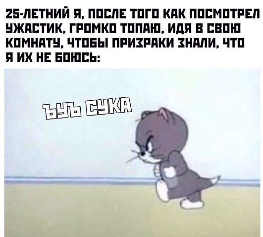 Картинки 23.10.21
