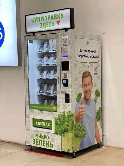 Всяческие картинки 19.11.2021