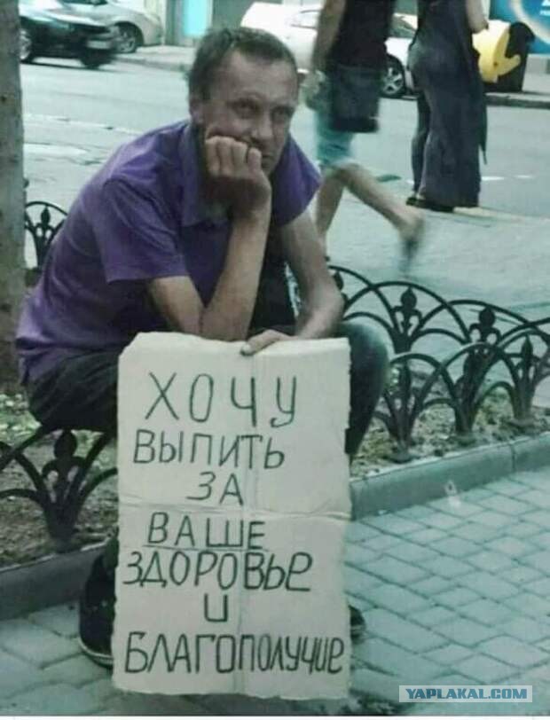 Всяческие картинки 29.12.2021