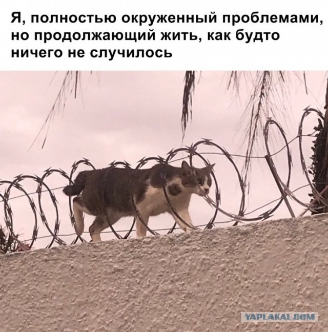 Может Я чего-то не знаю...