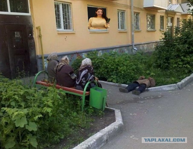 Фотожаба "Баба ягодка опять"