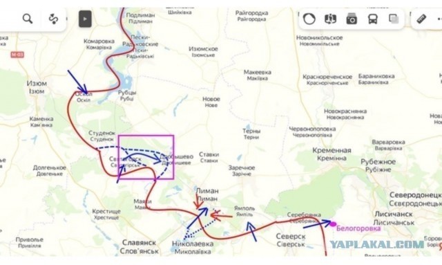 Пандемия съехавших крыш - разновидности болезни. Россия и мир. Часть 43.