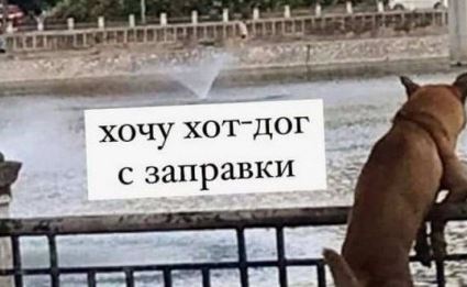 Картинки и мемы. Выходные близко...
