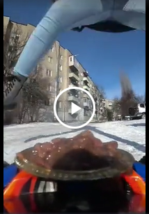Доставка еды для каменских бездомных животных