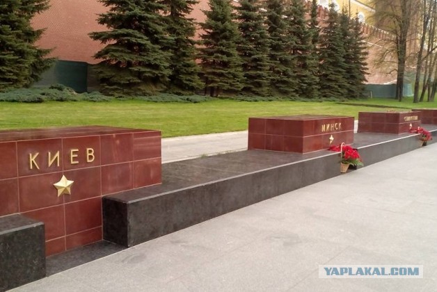 В Москве задержали пенсионера с сине-желтым букетом
