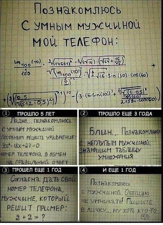 Весёлый полтишок 01.11.23