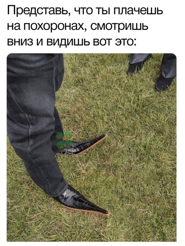 Весёлый полтишок 12.11.23