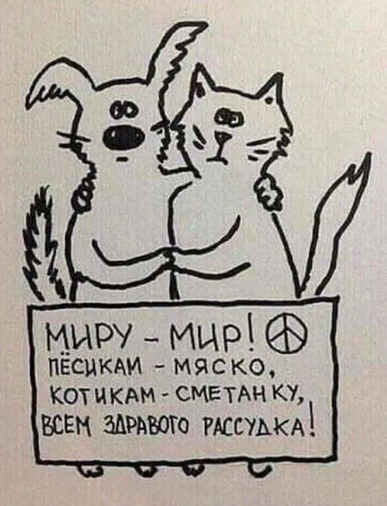 Прикольные и просто красивые картинки 26.01.2024