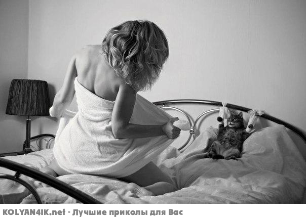 Мужики и котэ