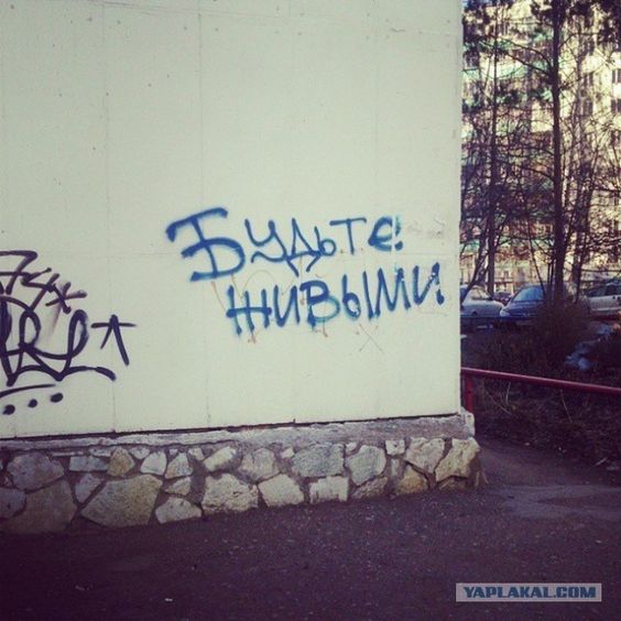 Прикольные и просто красивые картинки 14.06.24