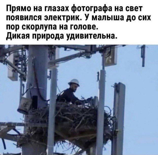 Картинки разные с надписями и без