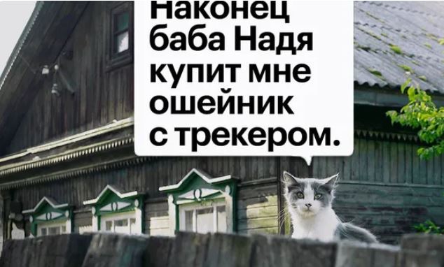 Как у меня угнали "китайца"...