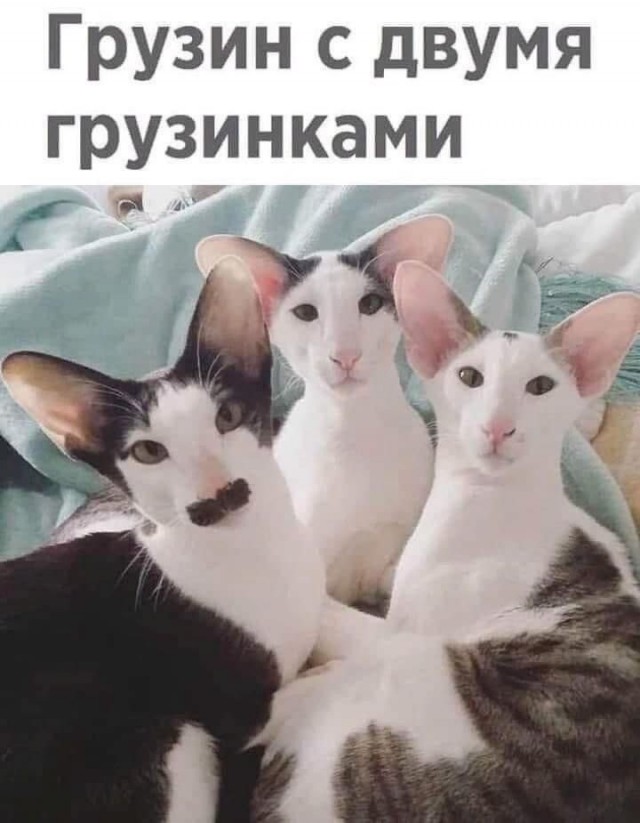 Так себе картинки 18.03.25