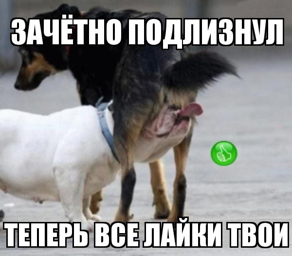 10 лет на ЯПлакалъ: от зелёного юнца до старого тролля