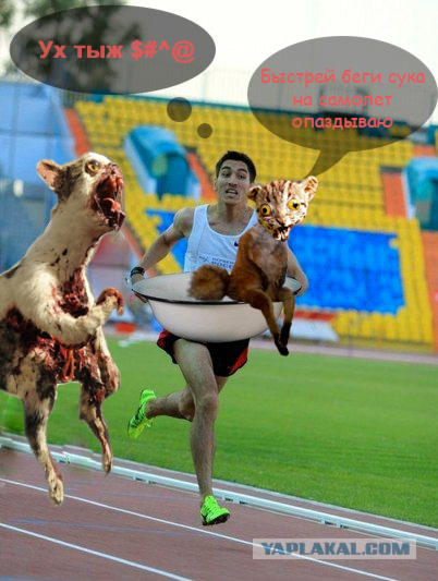 Моя первая фотжаба.