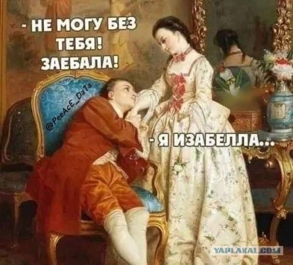 Изабелловый доберман