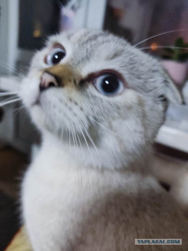 Ну начнемс ...!