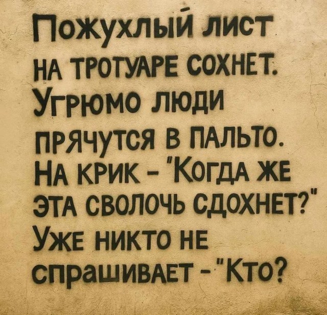 Застой