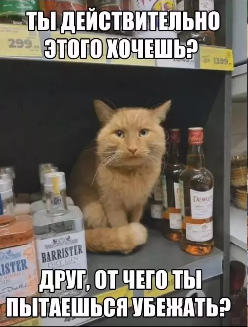 Картиночки, баянчики 21 февраля